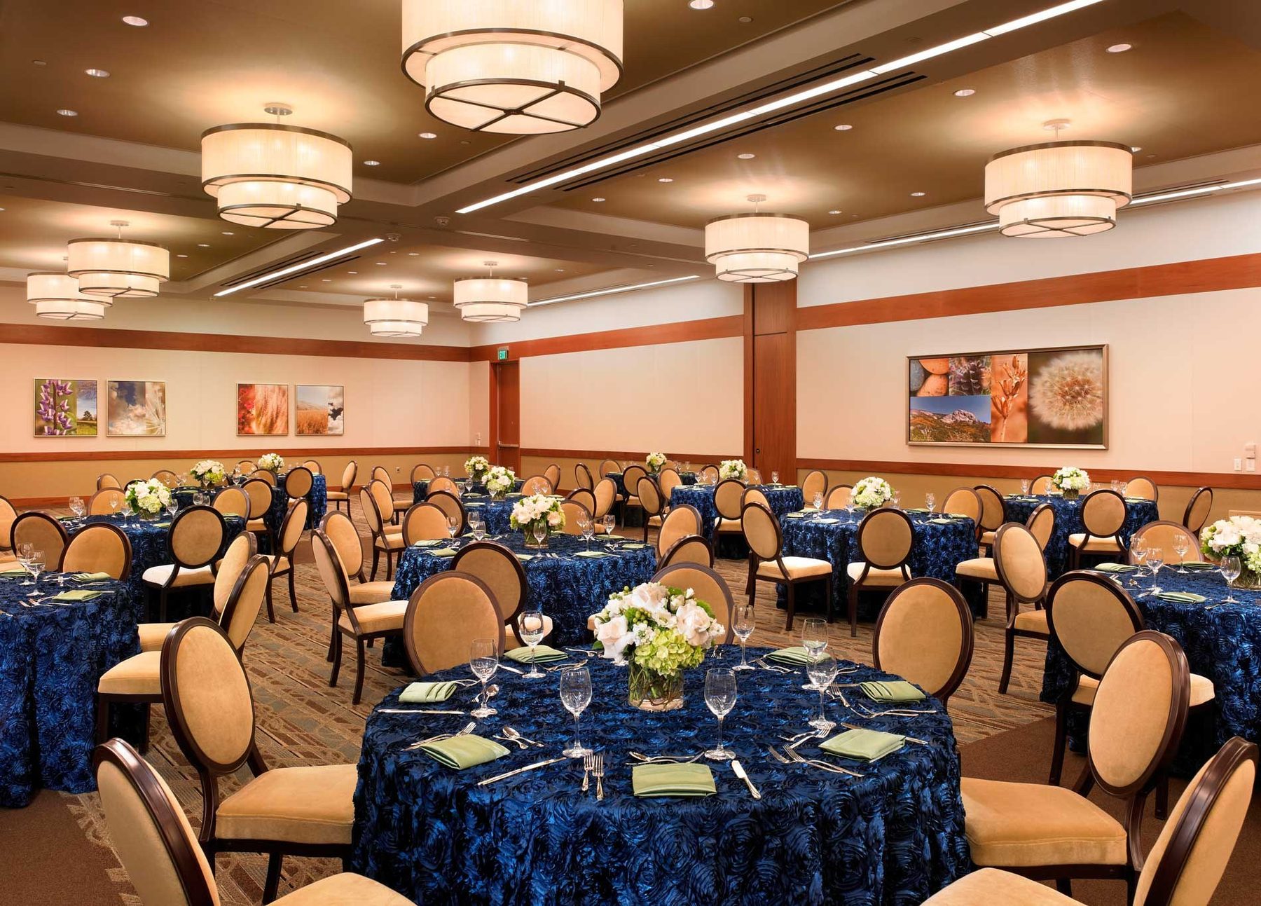 Real Sonoma Ballroom interior at Sheraton Fairplex — drum chandelier over banquet rounds