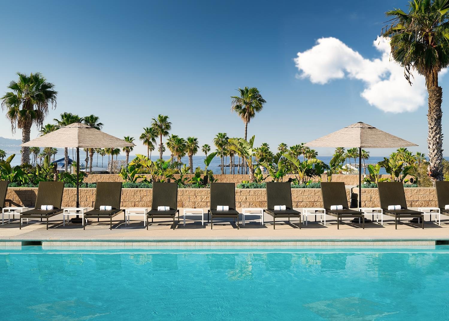The pool deck at Sonesta Redondo Beach & Marina lined with palm trees